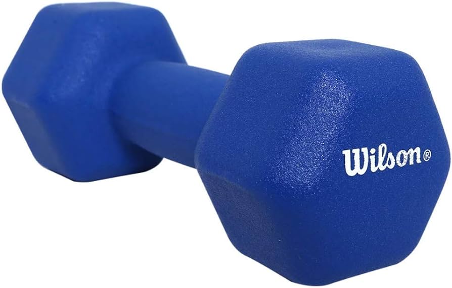 Mancuernas Neopreno 10 Lb Wilson
